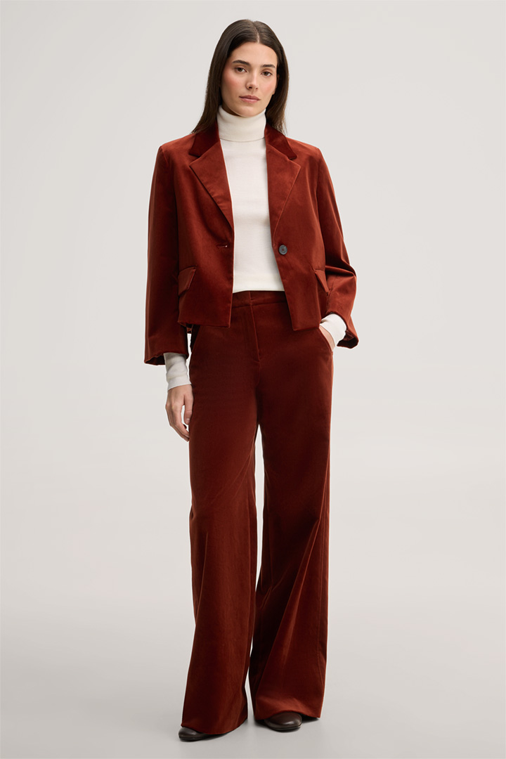 Leads to look detail page “<p><strong>Shop the Look:</strong><br> Velvet Pant Suit in Dark Red</p>”