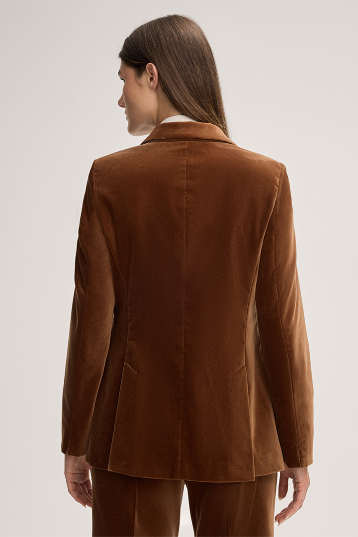 Velvet Blazer in Brown