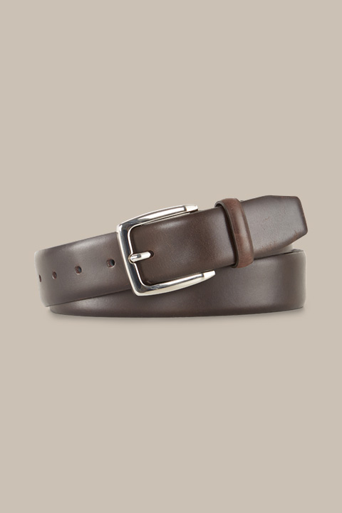 Leather Belt in Brown